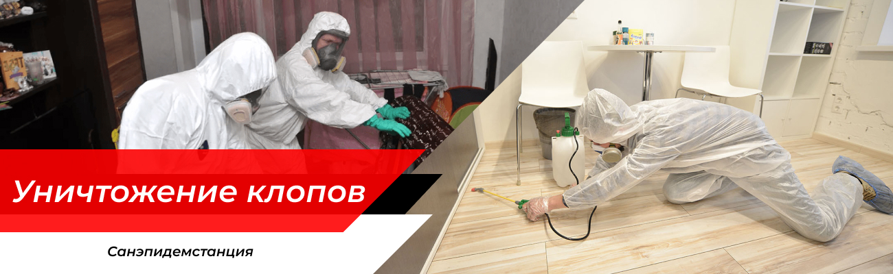Уничтожение клопов Можайск